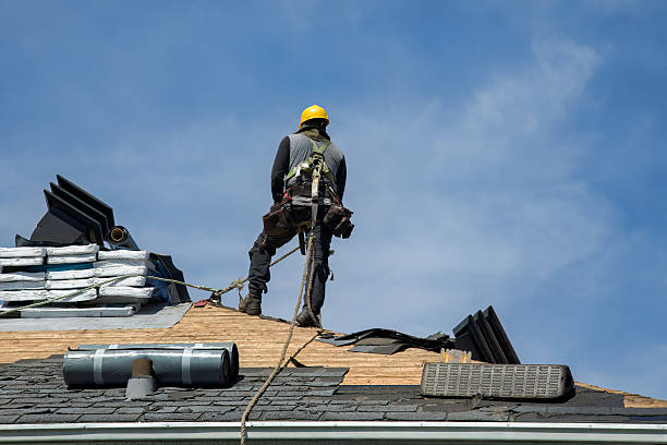 Professional Gutter Installation technician working in Buena Vista, GA
